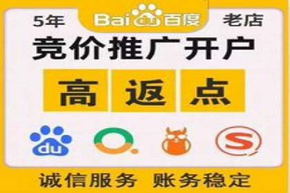 短视频信息流营销实战：小红书的成长之路